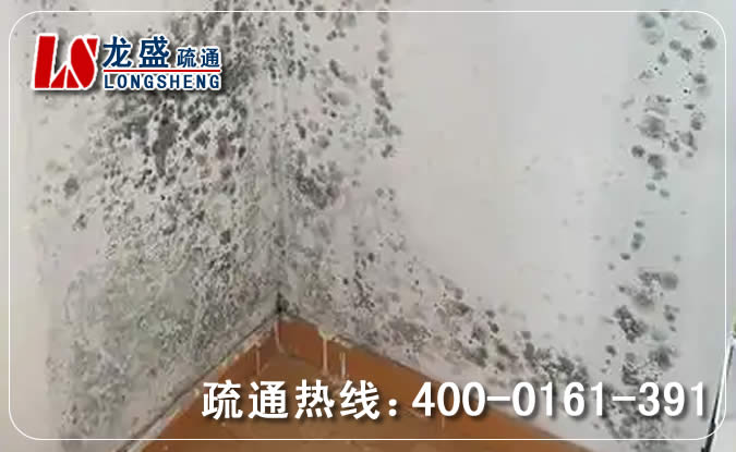 东坑镇除菌除霉味